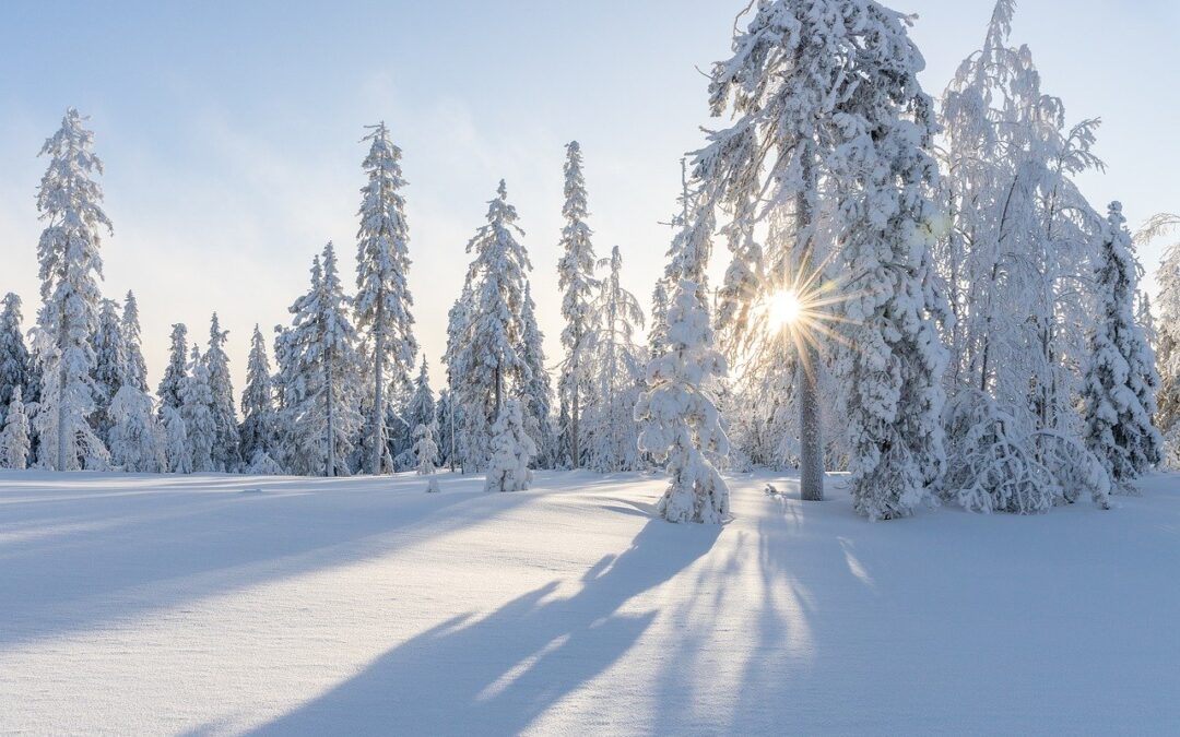 Wintertraining 2021/2022 jetzt anmelden